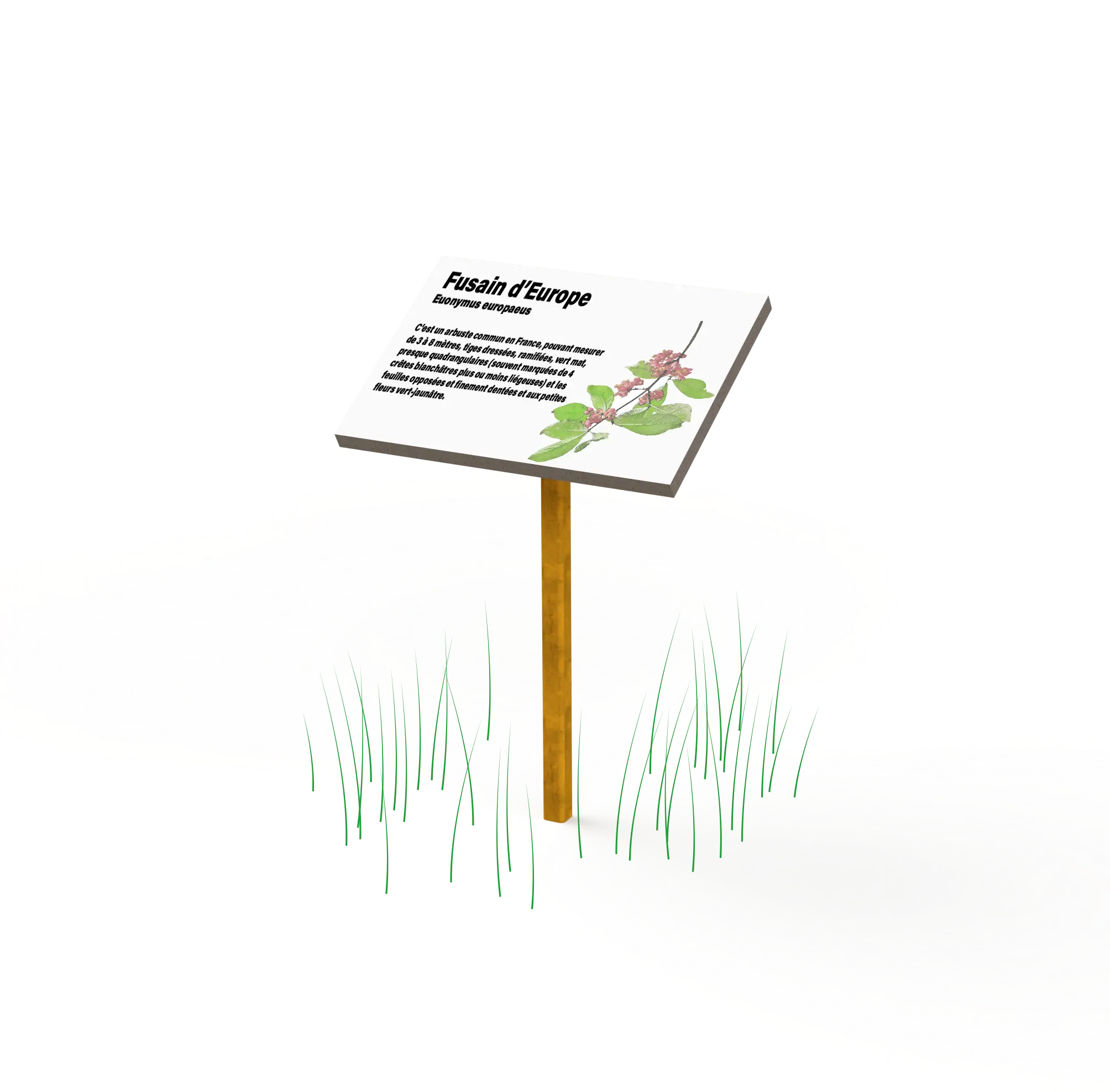 arboretum-cortex-rendu-a4-webp-18067.webp