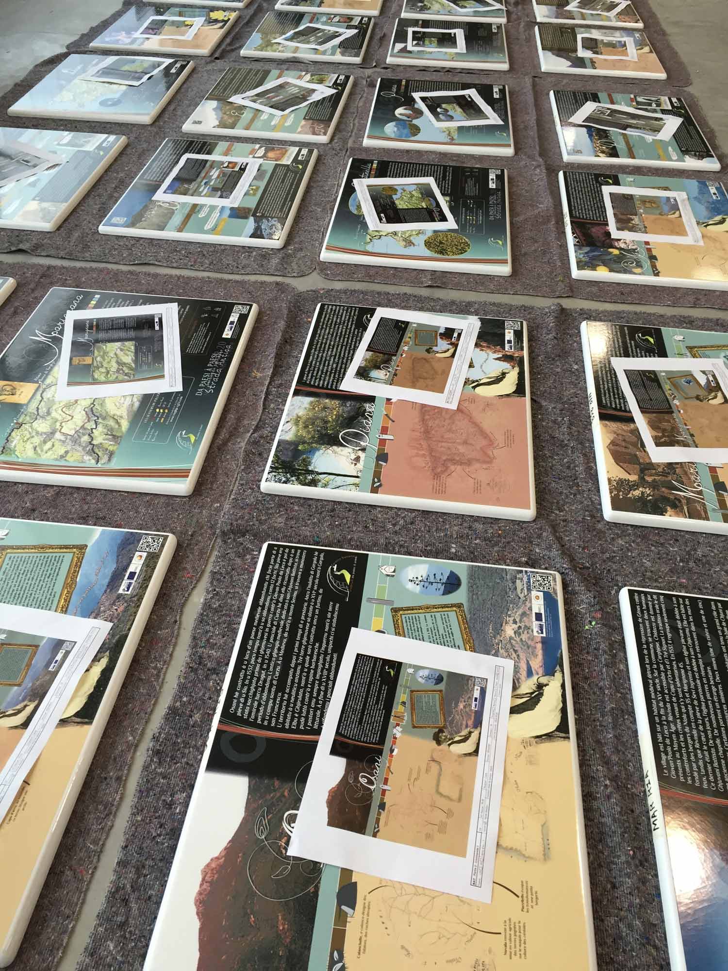 Conseil départemental de Corse du Sud