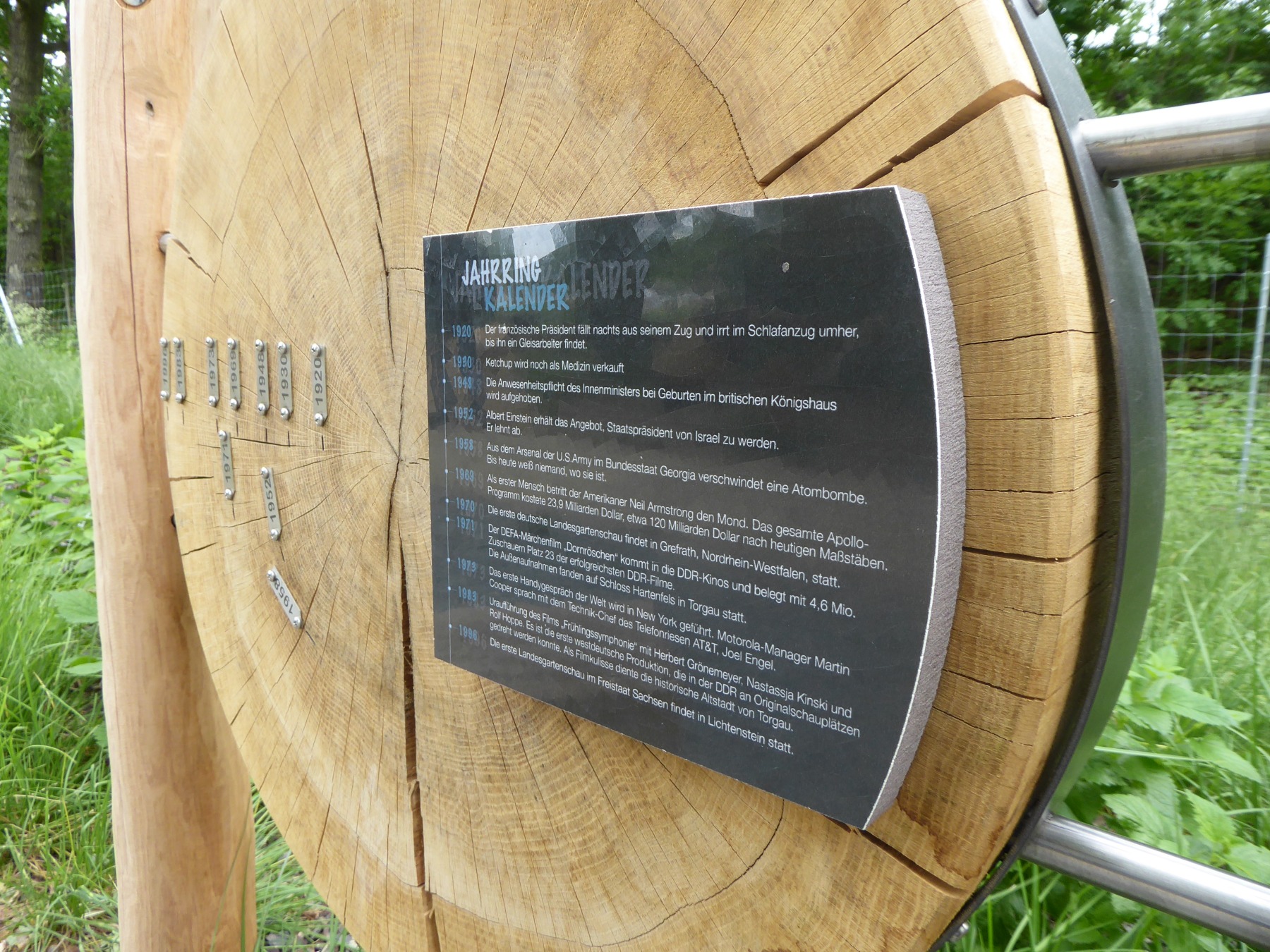 Lavastein Torgau.JPG