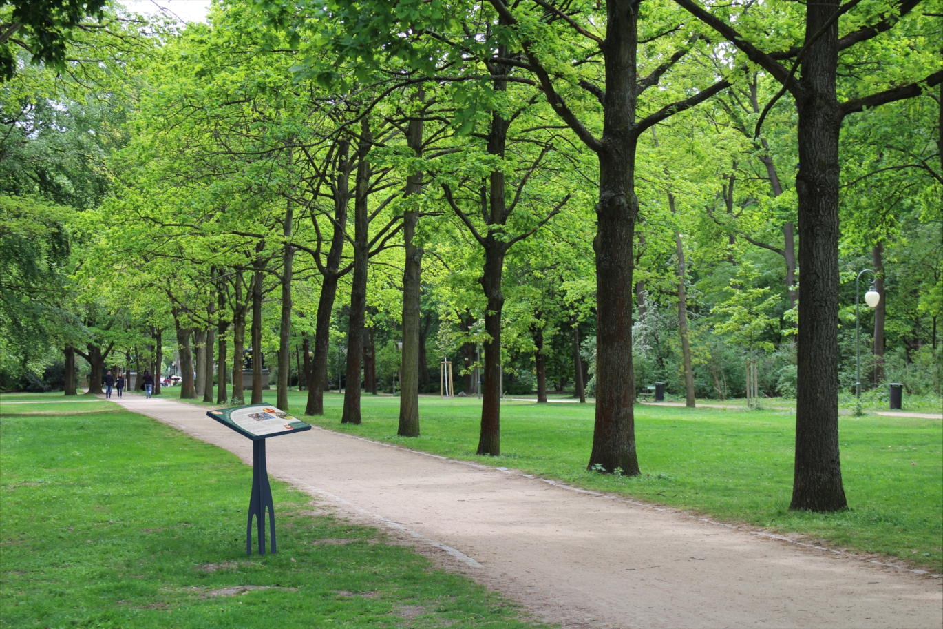 MES-Pupitre racine.2.jpg