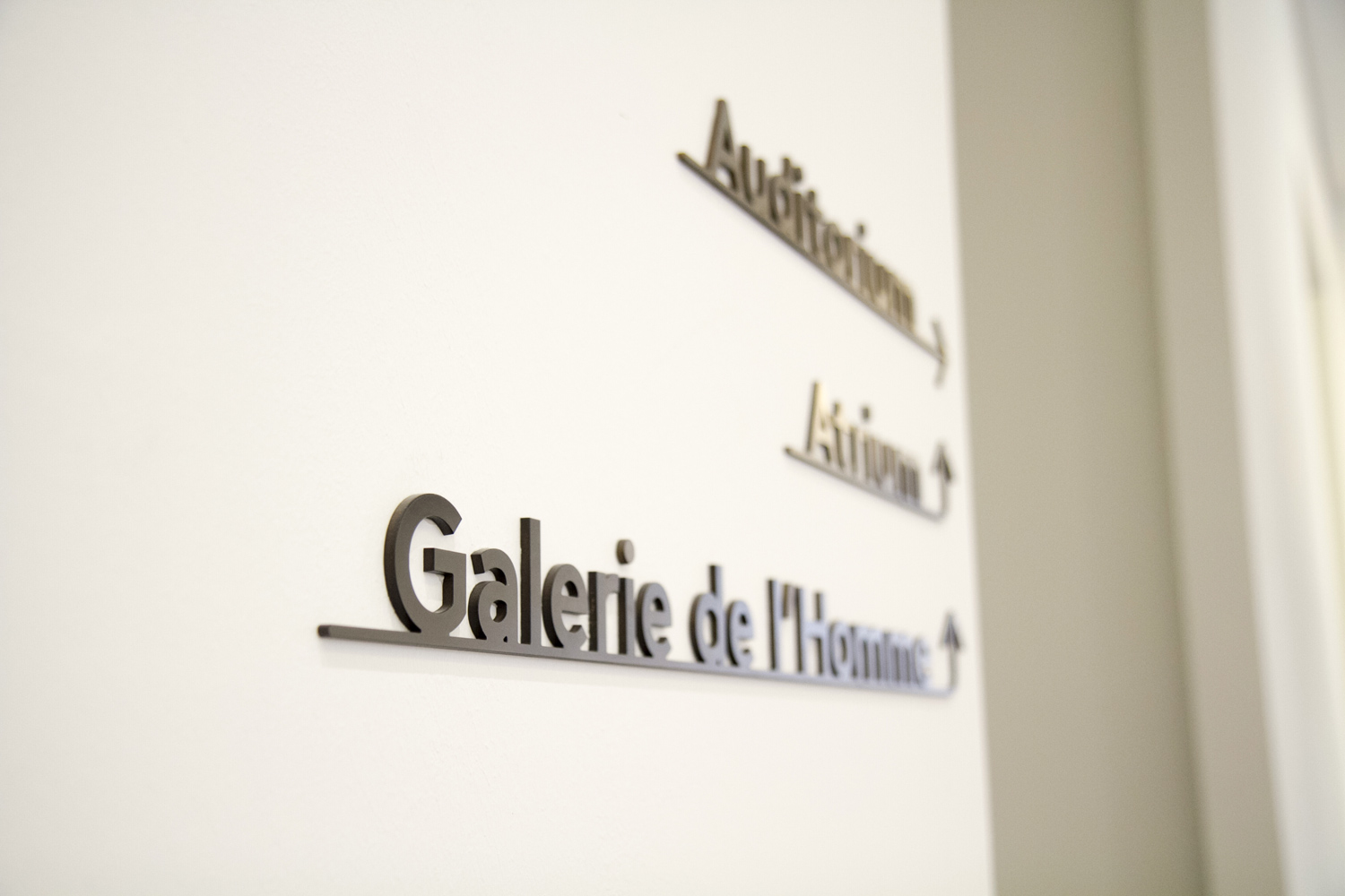 musee_de_l_homme_signaletique_museographie_agencement.jpg