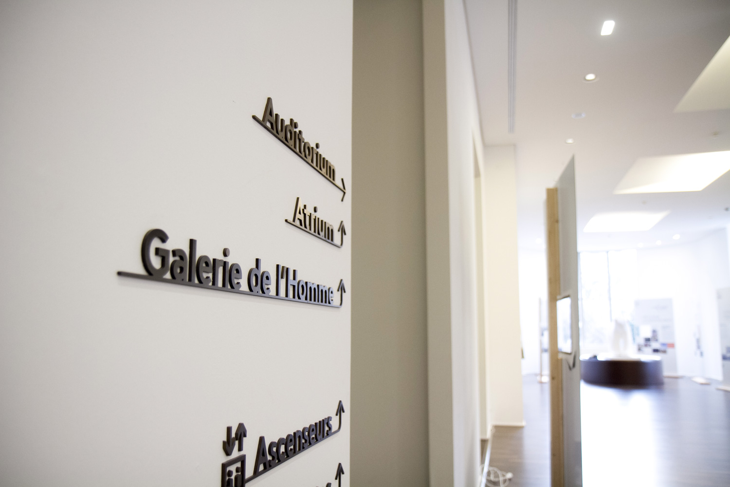musee_de_l_homme_signaletique_museographie_agencement.jpg