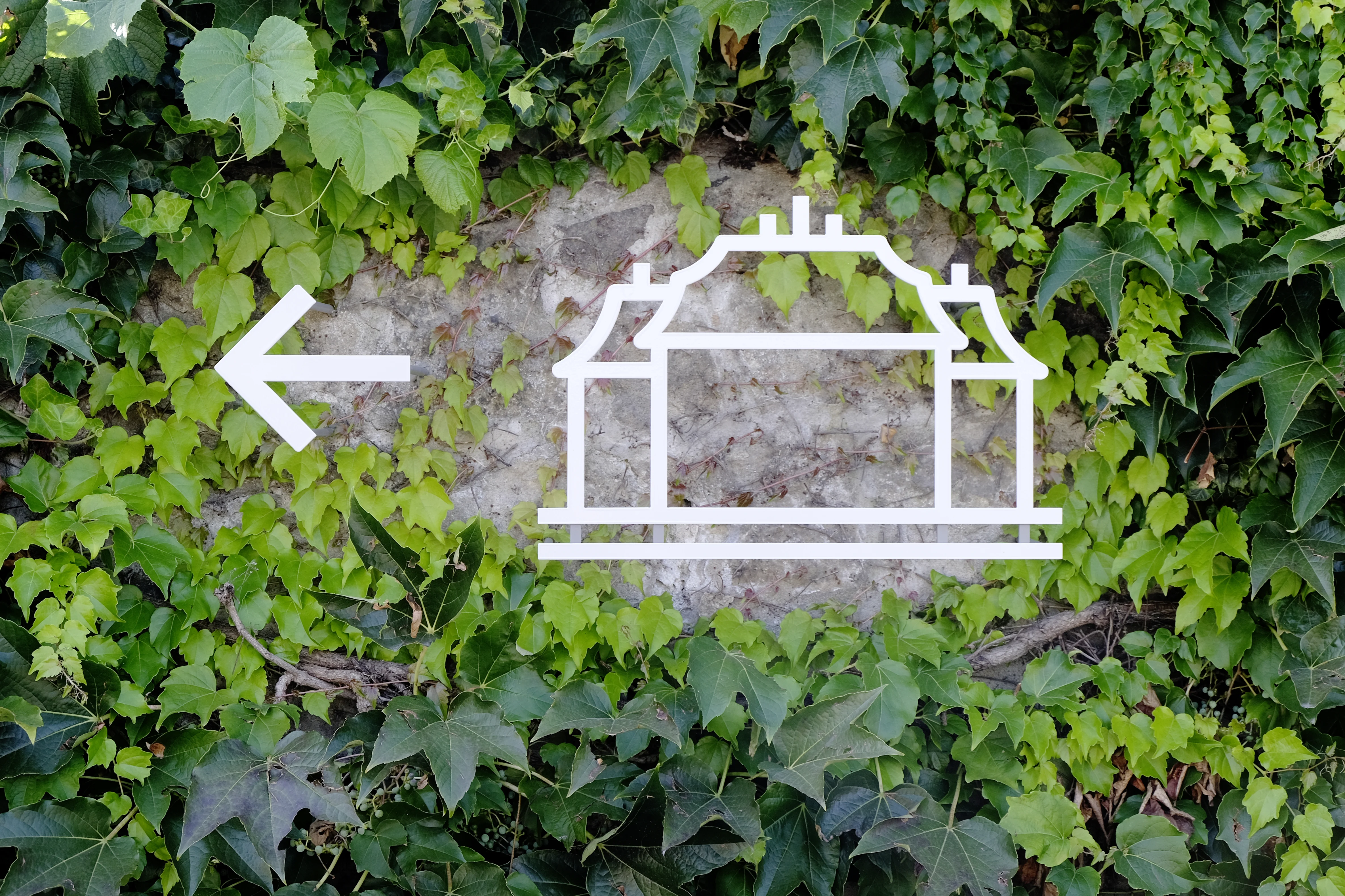 Piktogramm im Efeu 3.webp