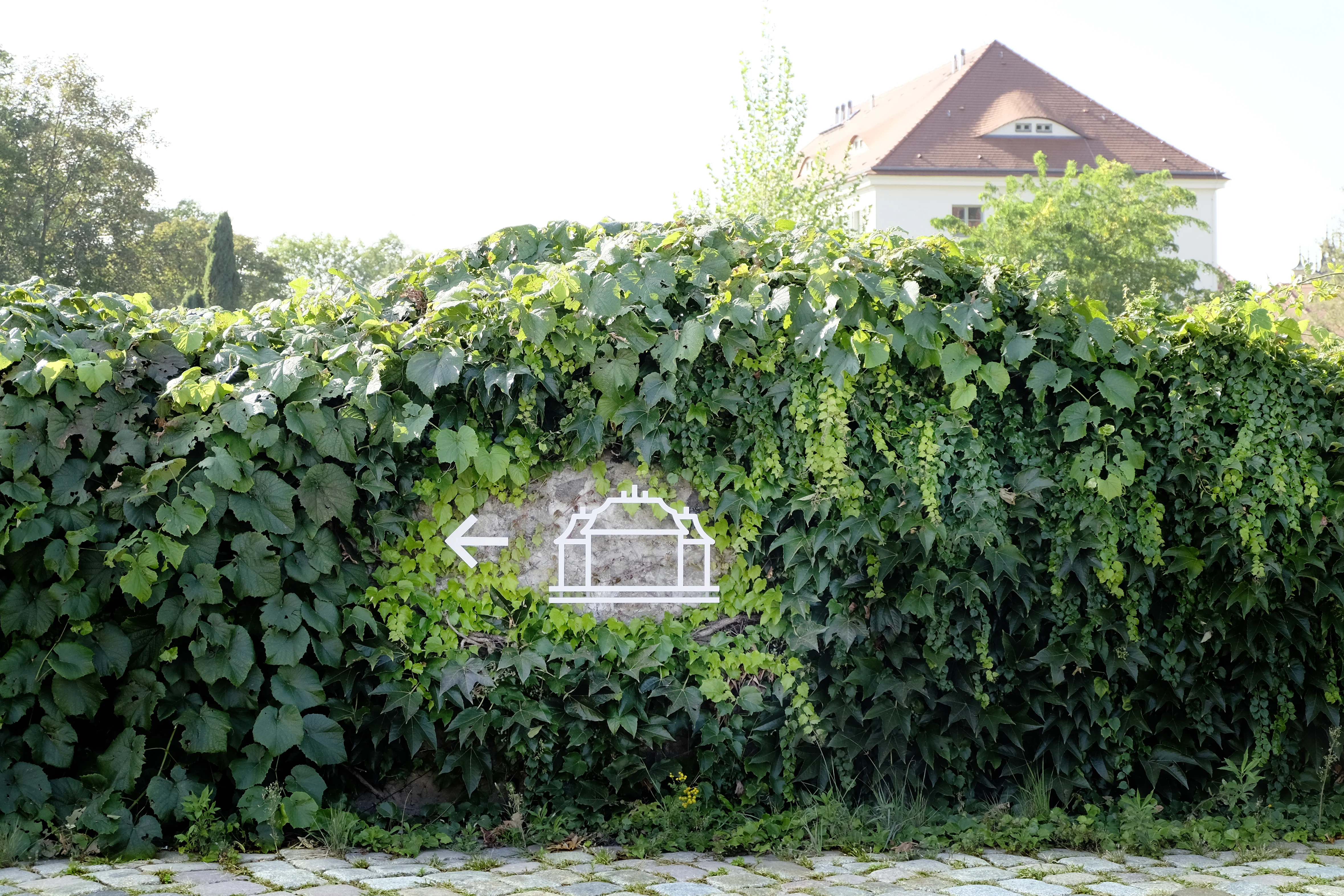 Piktogramm im Efeu 5.webp