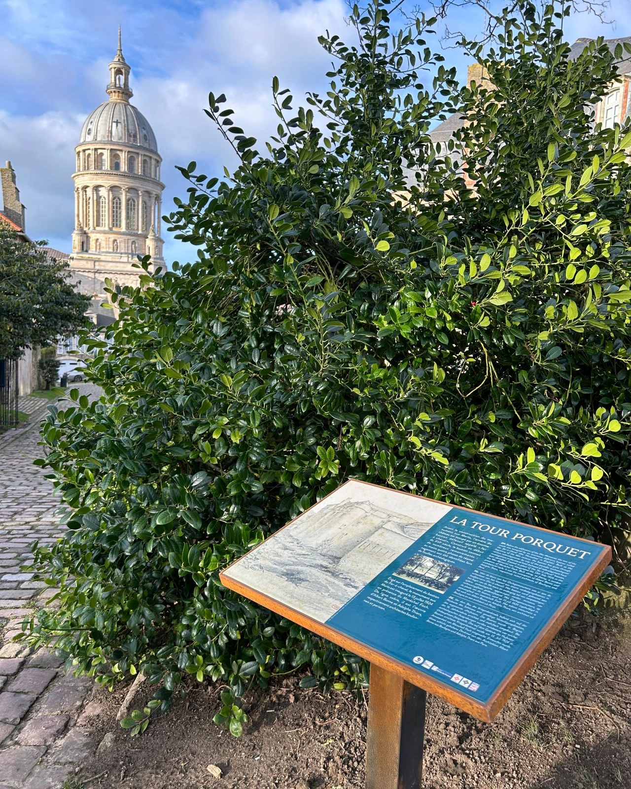 Pultschild_Cortex_Boulogne sur mer2.webp