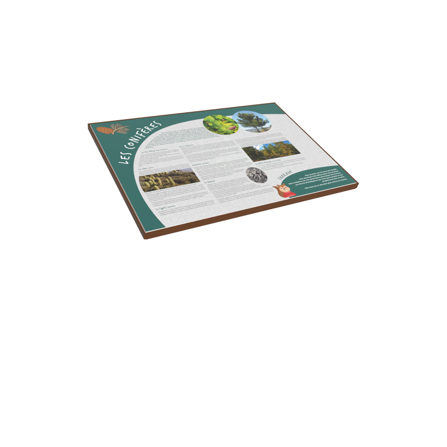 PUPITRE_LAVE A1_ARBORETUM_RAL 8007.png