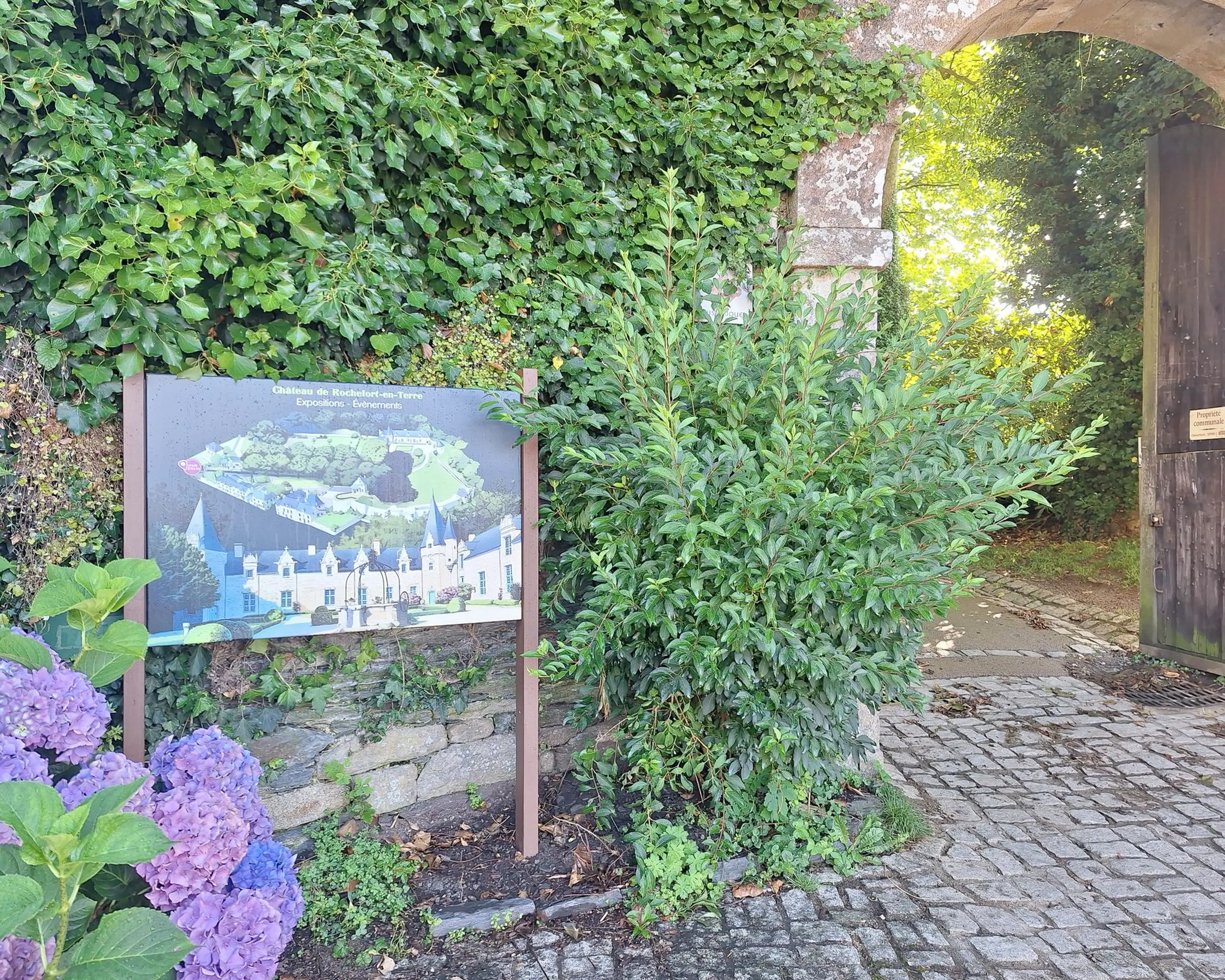 RIS Robin entrée de lieu.webp