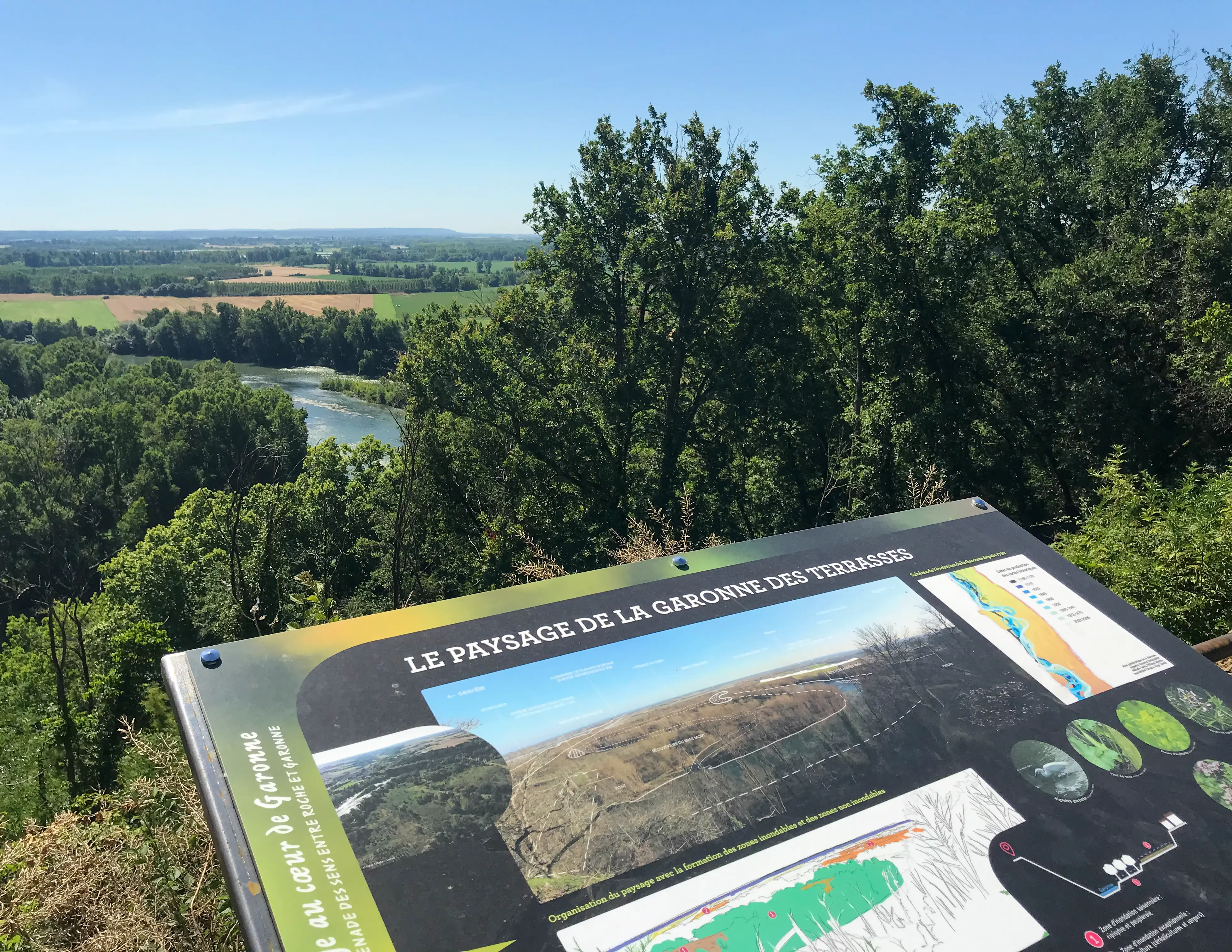 Signalétique jalonnement en bois 7.webp