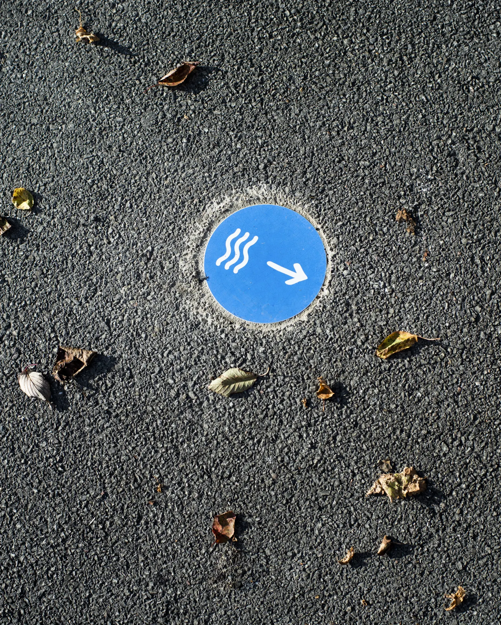 Signalétique Ville de Gamache 2.webp