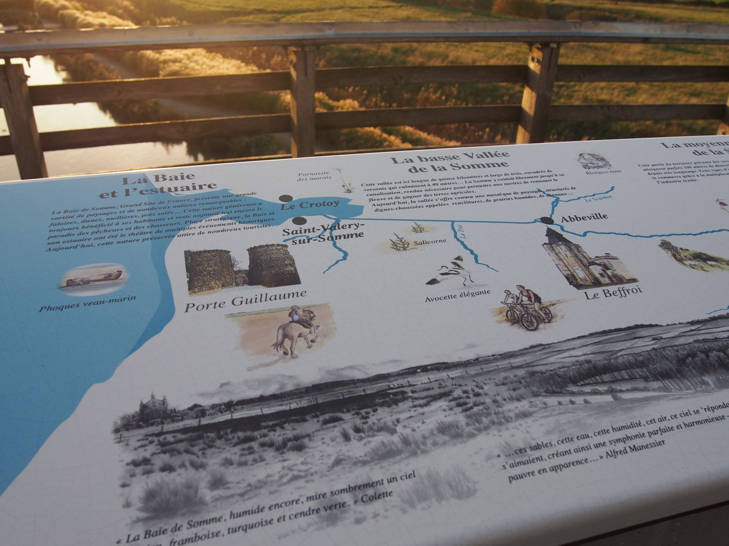 somme_belvederes_lave_emaillee_table_orientation1